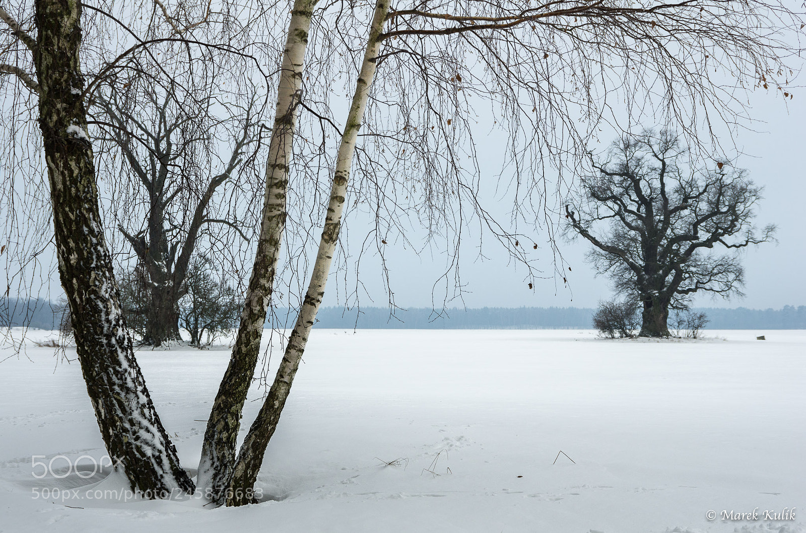 Pentax K-5 sample photo. Rogalin photography