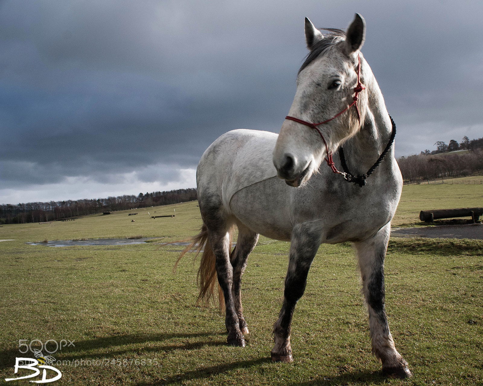 Nikon D80 sample photo. Did you just take photography