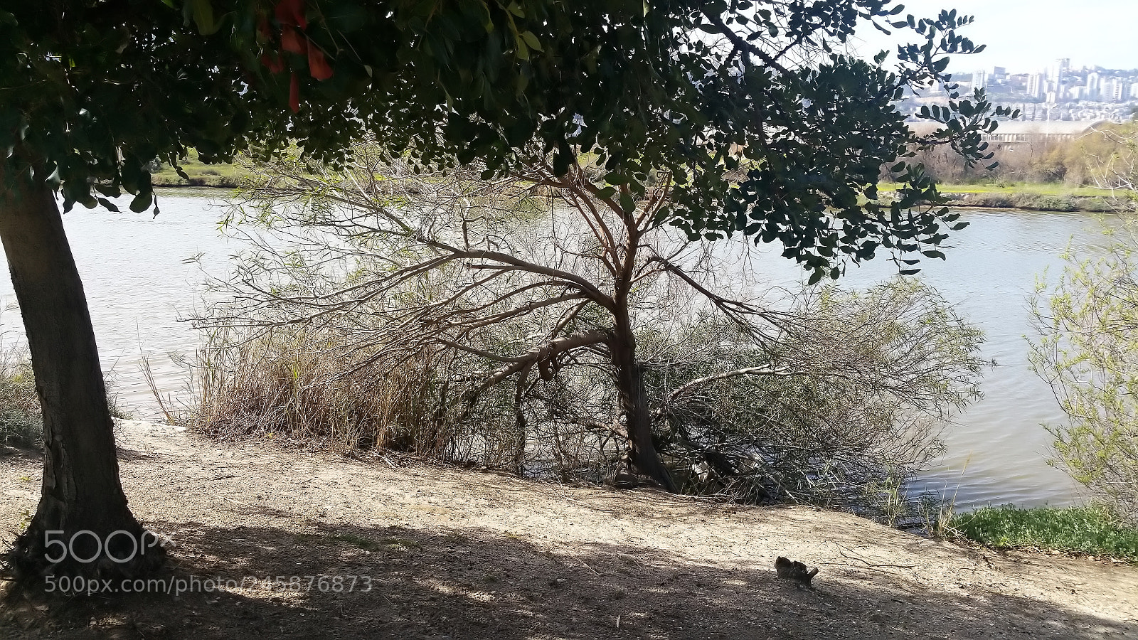 Samsung Galaxy Note Edge sample photo. The kishon river photography