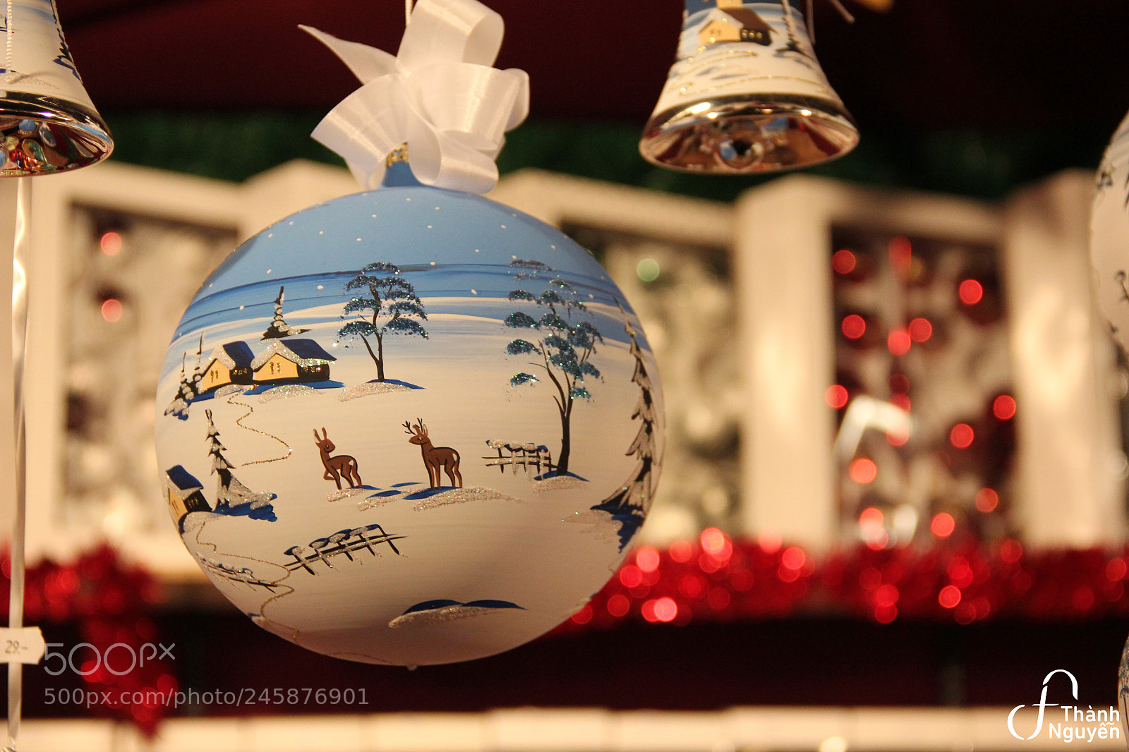 Canon EOS 550D (EOS Rebel T2i / EOS Kiss X4) sample photo. The love story of photography