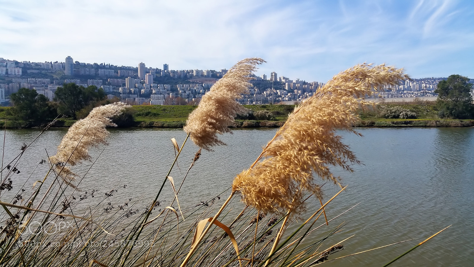 Samsung Galaxy Note Edge sample photo. The kishon river photography