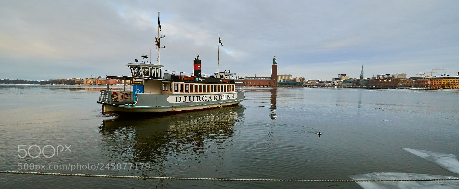 Canon EOS 7D Mark II sample photo. Djurgården 4 photography