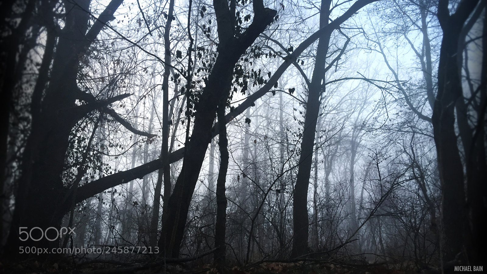 Apple iPhone 6 Plus sample photo. Renfrew park | part 3 photography