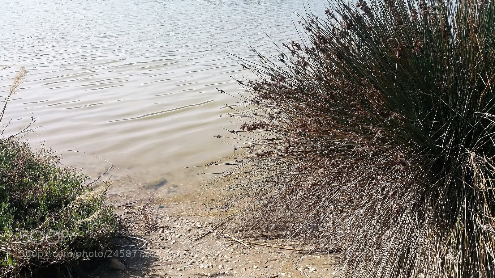 Samsung Galaxy Note Edge sample photo. The kishon river photography
