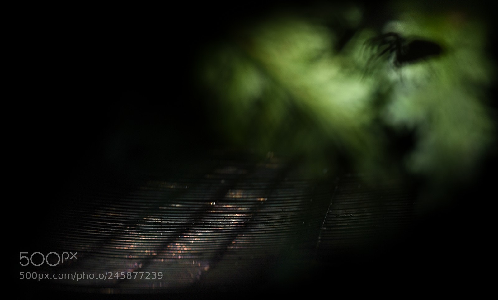 Nikon D7200 sample photo. Road to hell photography