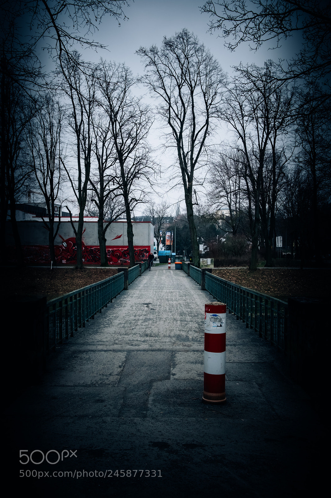 Fujifilm X-Pro2 sample photo. Side photography