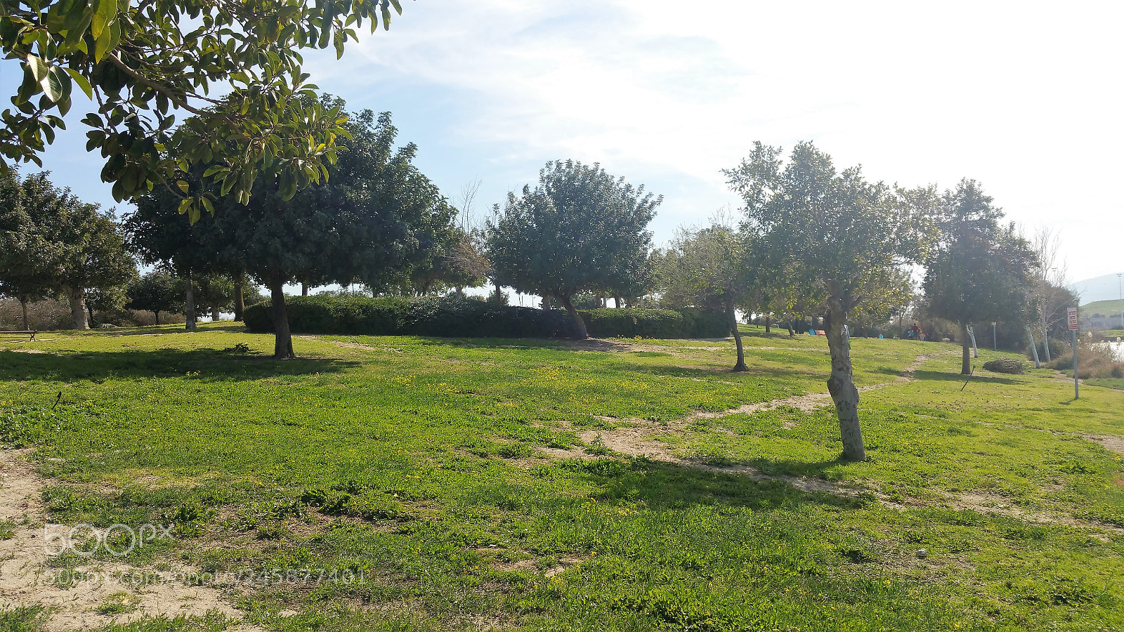 Samsung Galaxy Note Edge sample photo. The kishon river photography
