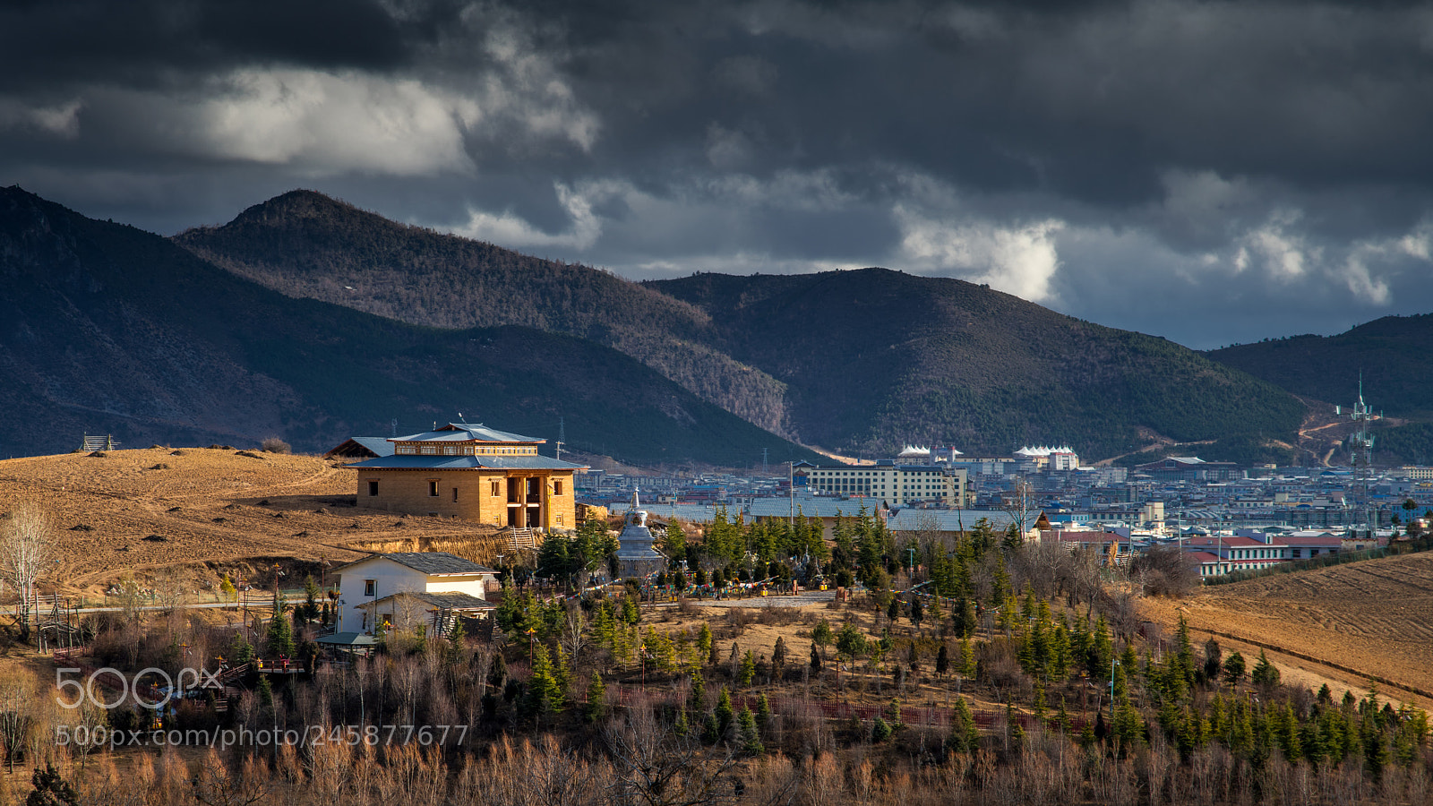 Nikon D850 sample photo. Shangri-la photography