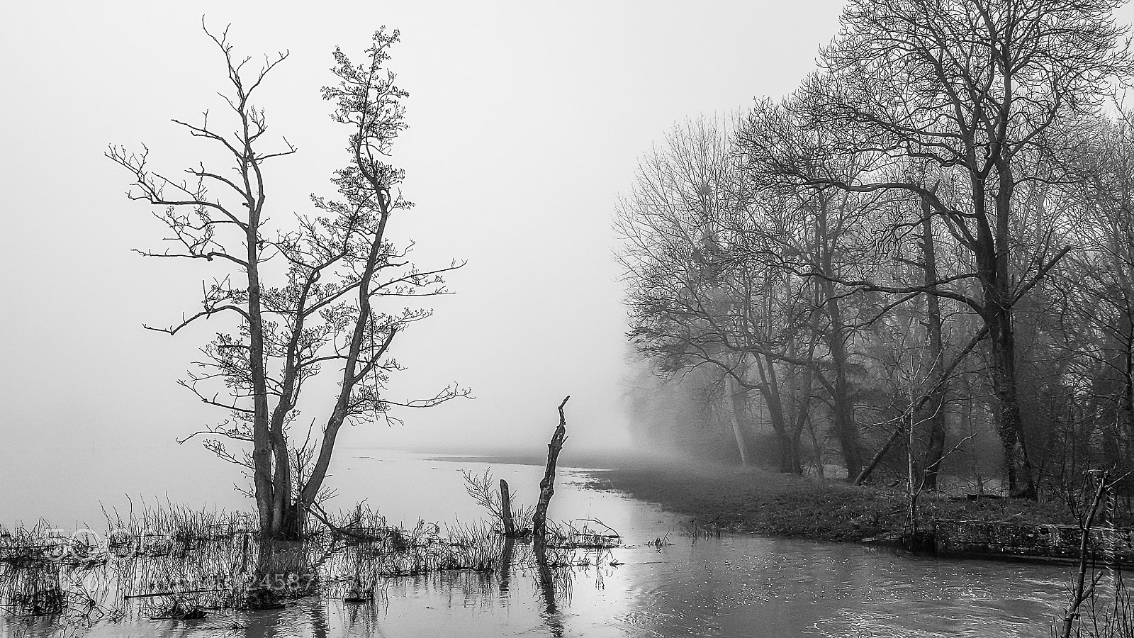 Samsung Galaxy S7 Edge sample photo. Mysterious foggy pange, river photography