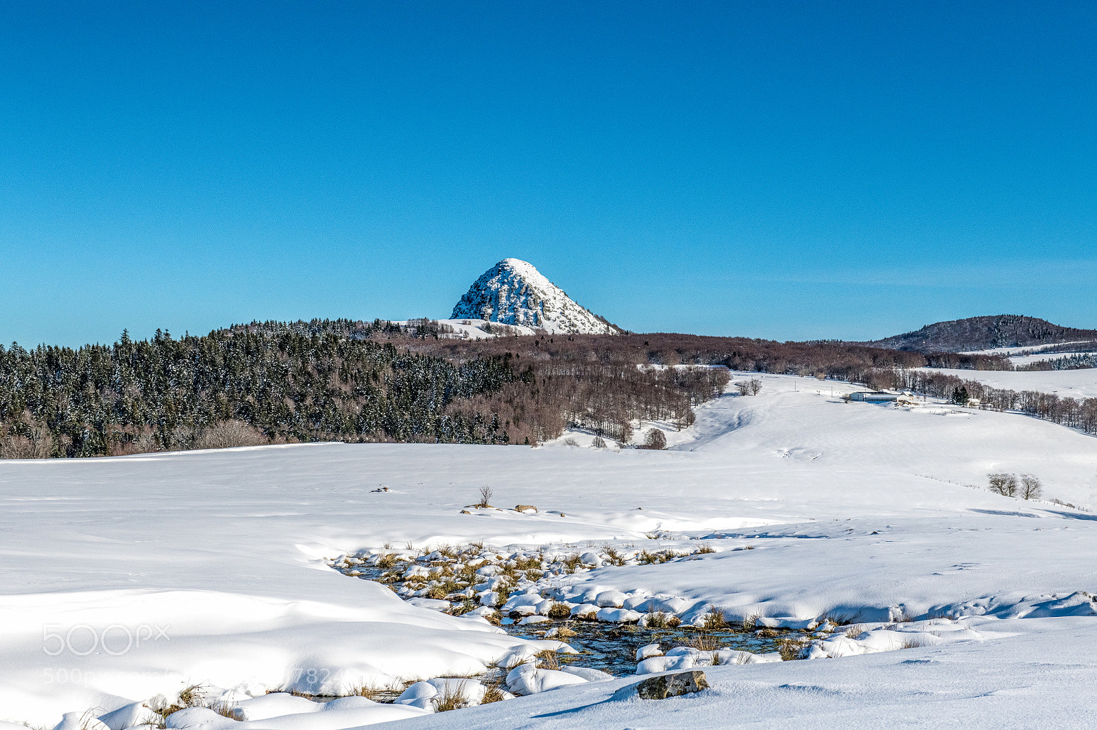 Nikon D850 sample photo. Le mont gerbier de photography