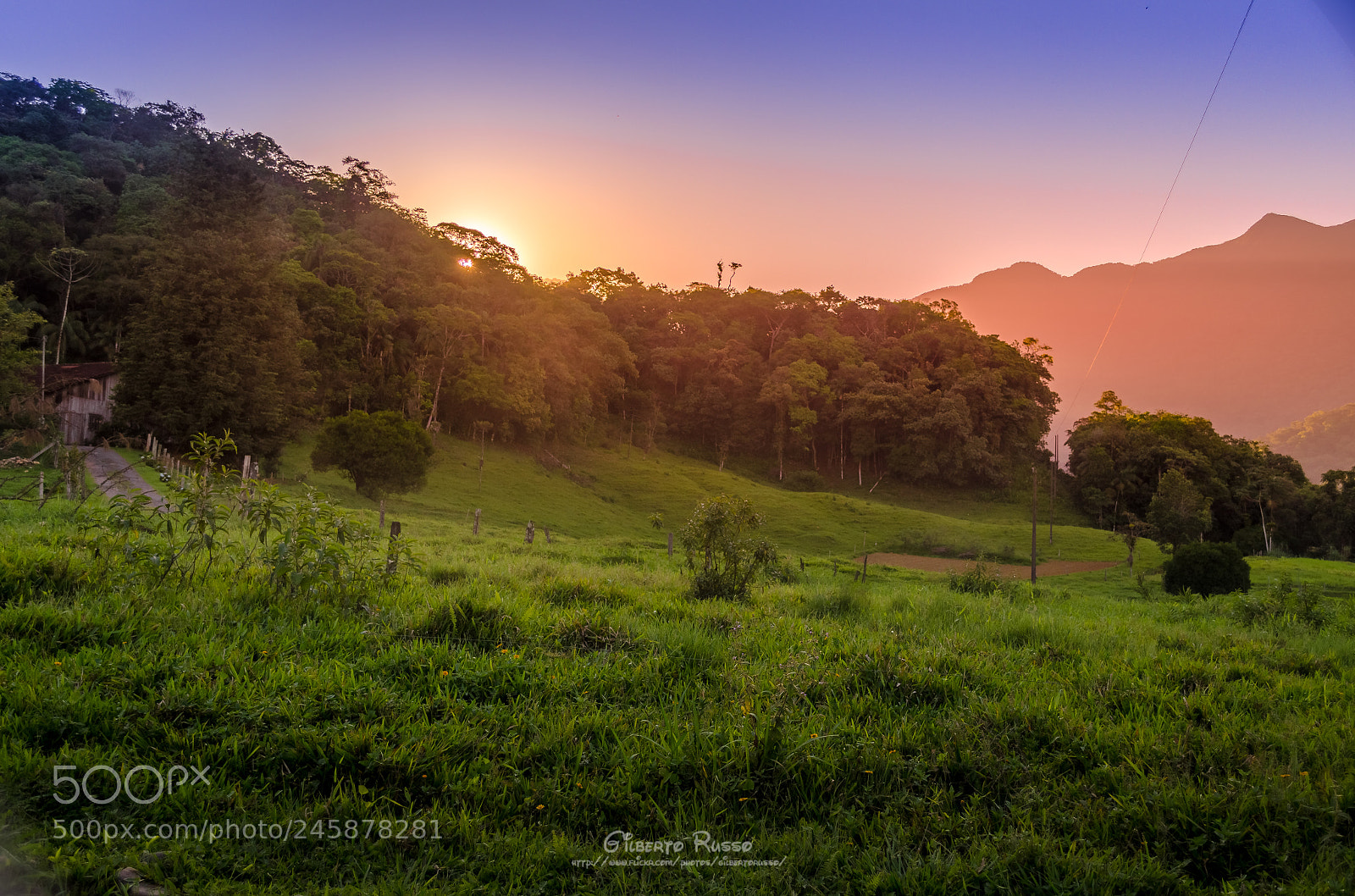 Nikon D5100 sample photo. Golden hour - joinville photography