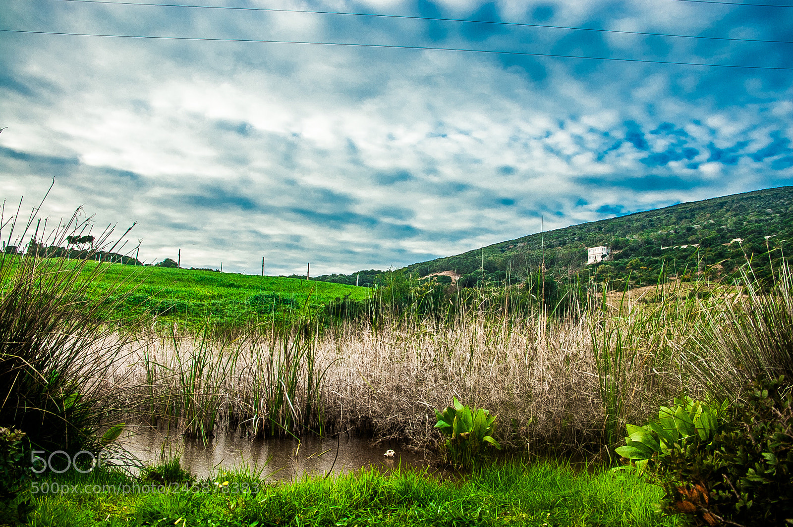 Nikon D50 sample photo. Love nature photography