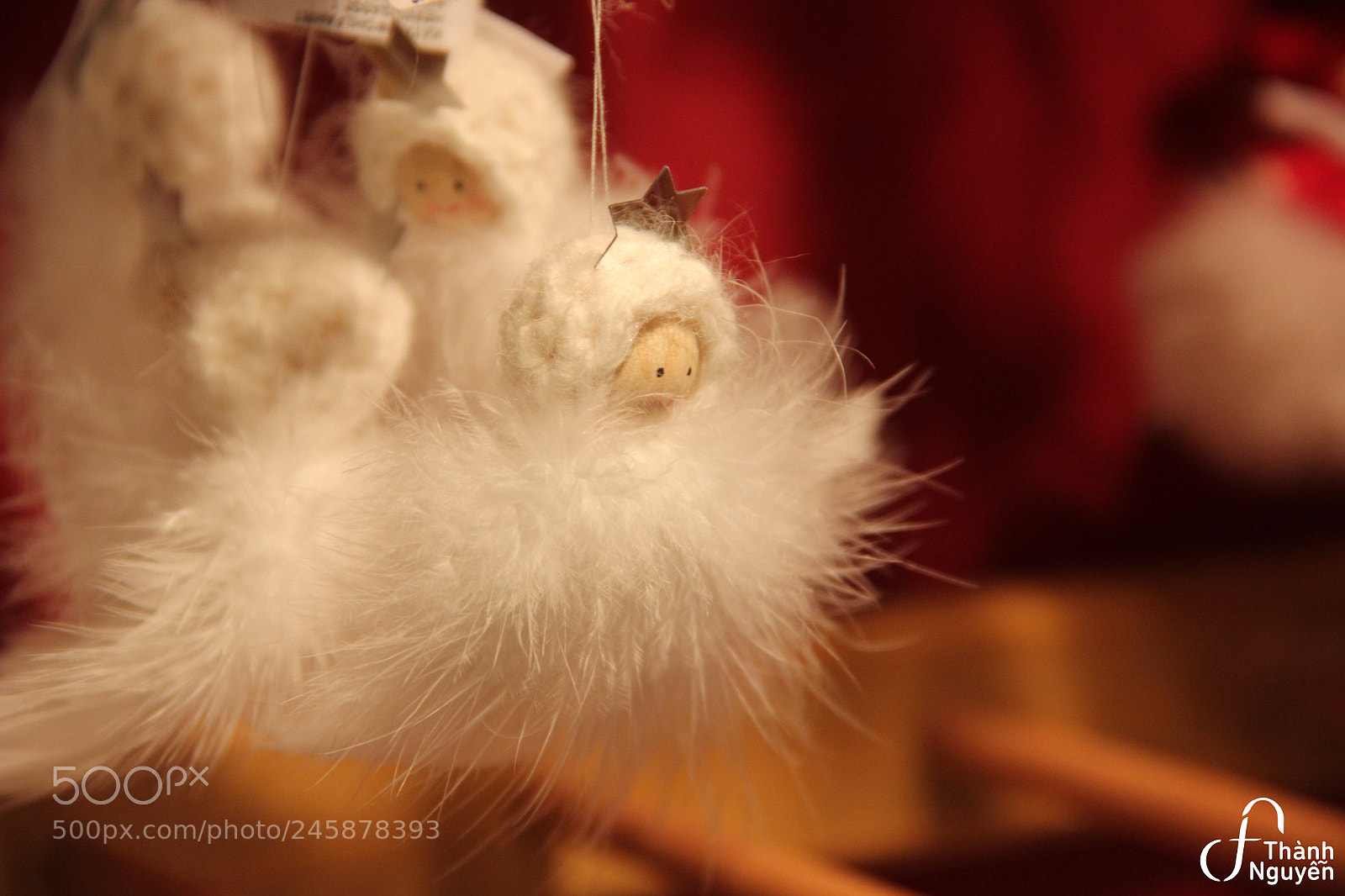 Canon EOS 550D (EOS Rebel T2i / EOS Kiss X4) sample photo. Small angels photography