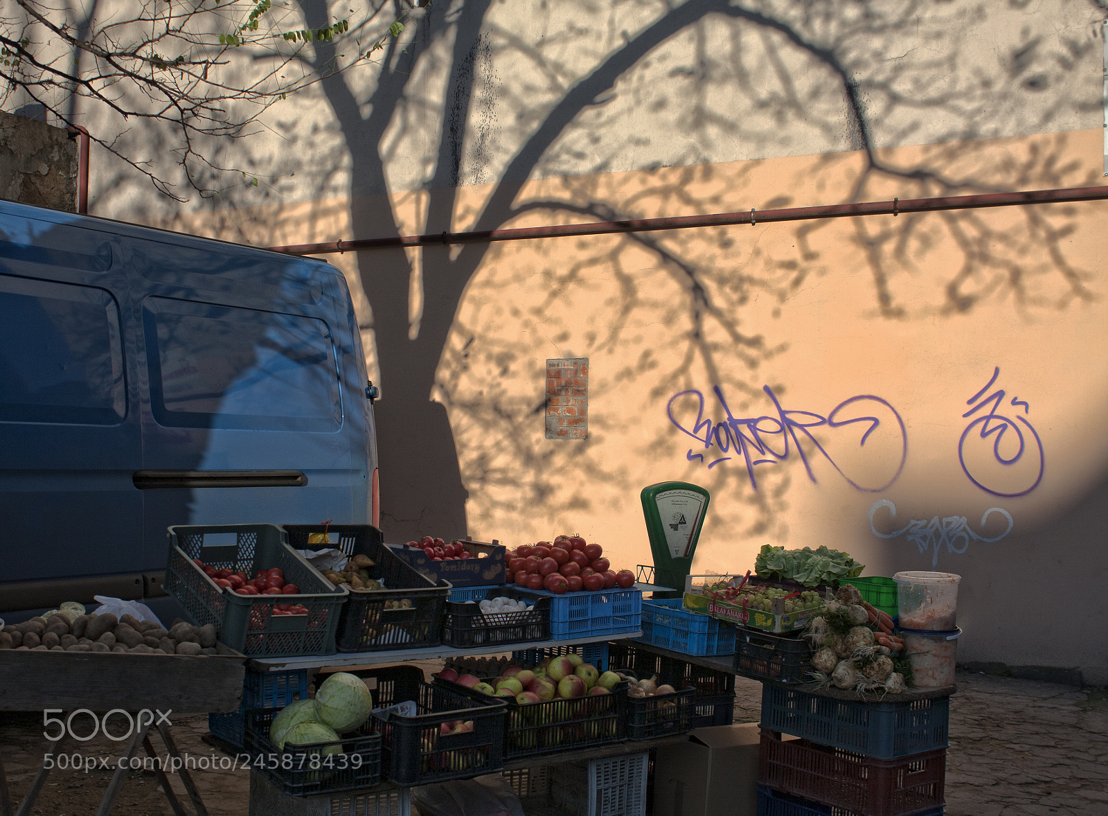 Canon EOS 40D sample photo. Business photography