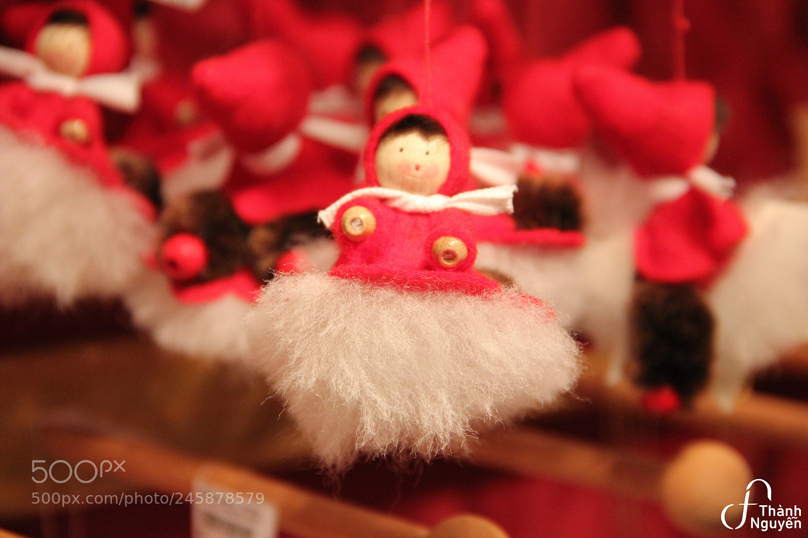 Canon EOS 550D (EOS Rebel T2i / EOS Kiss X4) sample photo. Little red riding hood photography