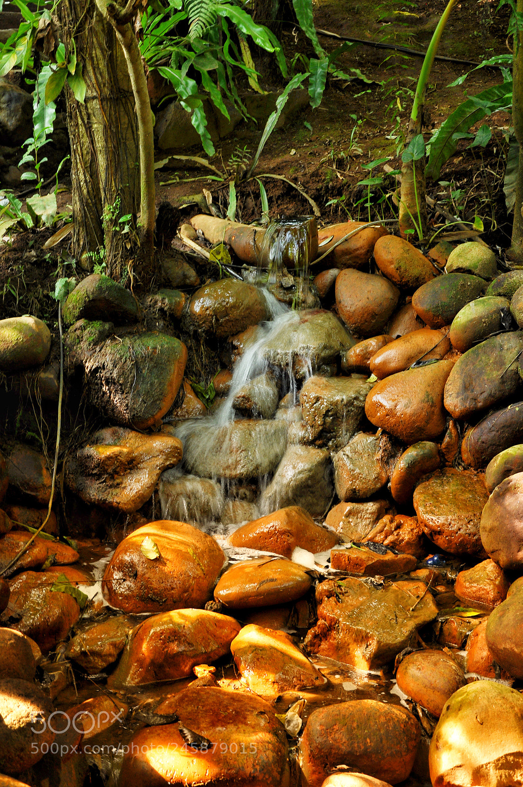 Nikon D90 sample photo. Indonesia 2011 photography