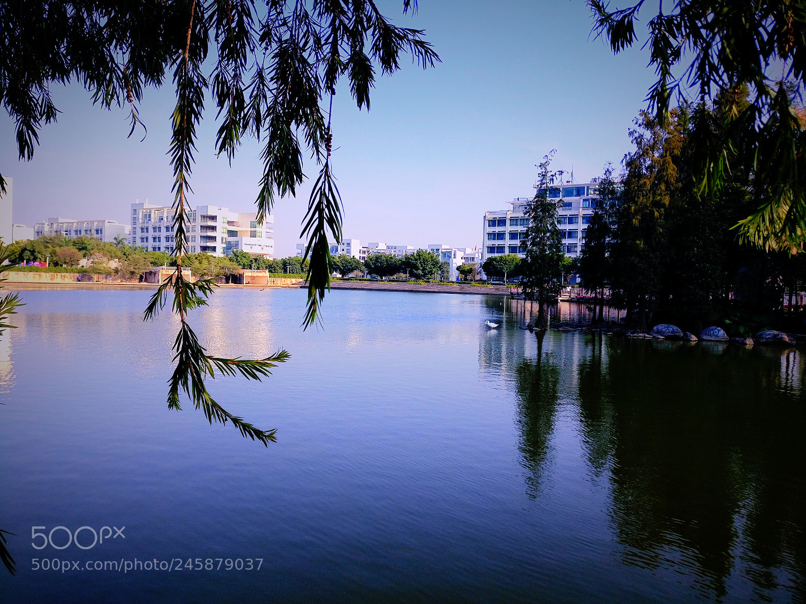 OnePlus A3010 sample photo. Untitled photography