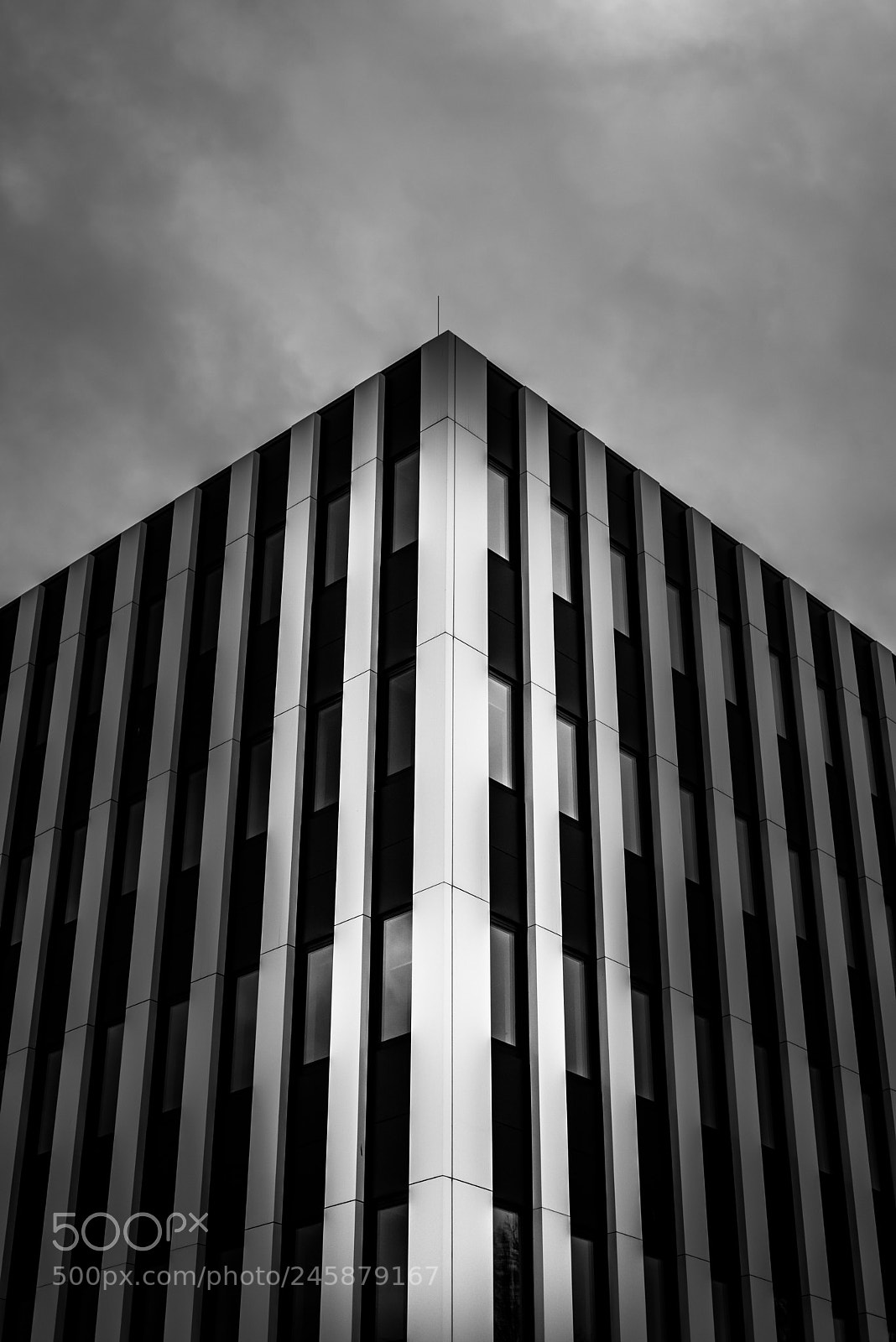 Nikon D610 sample photo. Edges photography