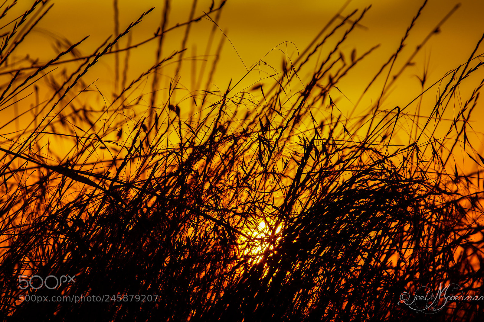 Sony SLT-A77 sample photo. Sunset in nature ! photography