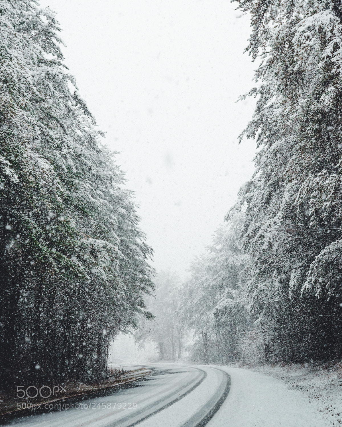 Nikon D600 sample photo. Snow covered road photography