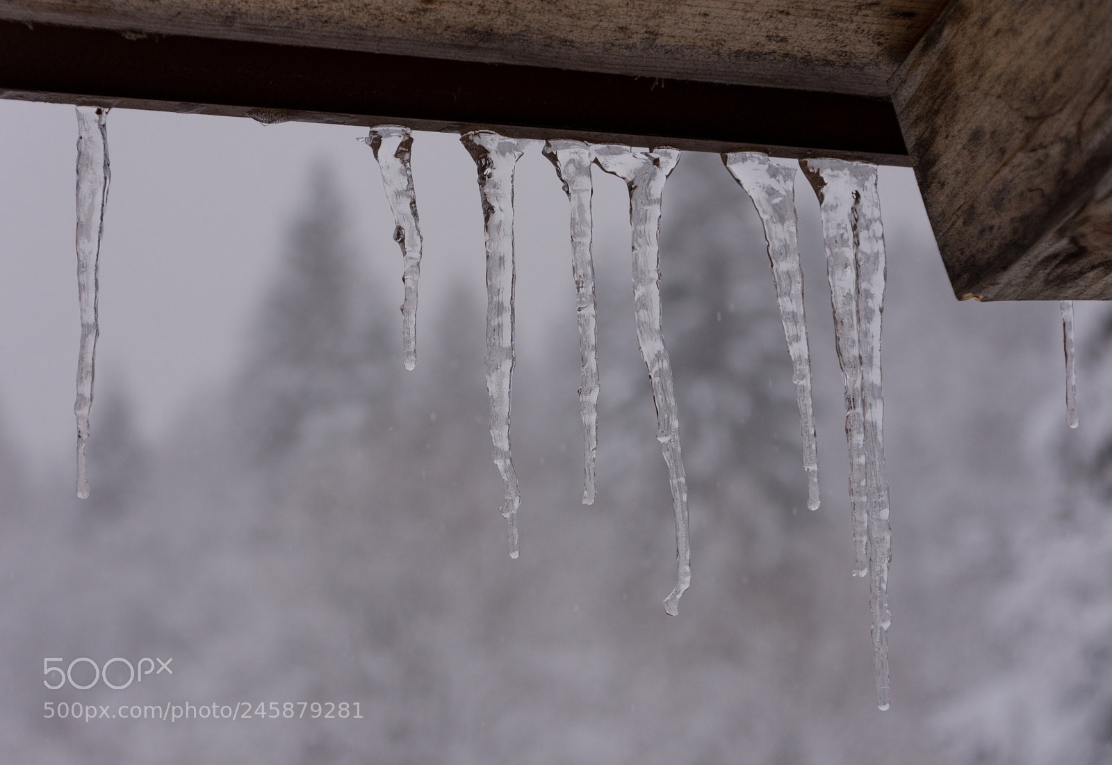 Nikon D7200 sample photo. Balderschwang, oberallgäu photography