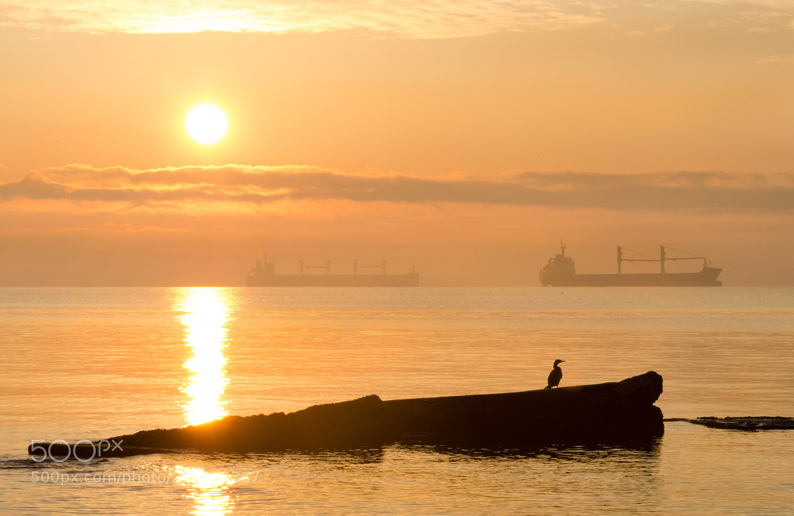 Nikon D5100 sample photo. Morning photography