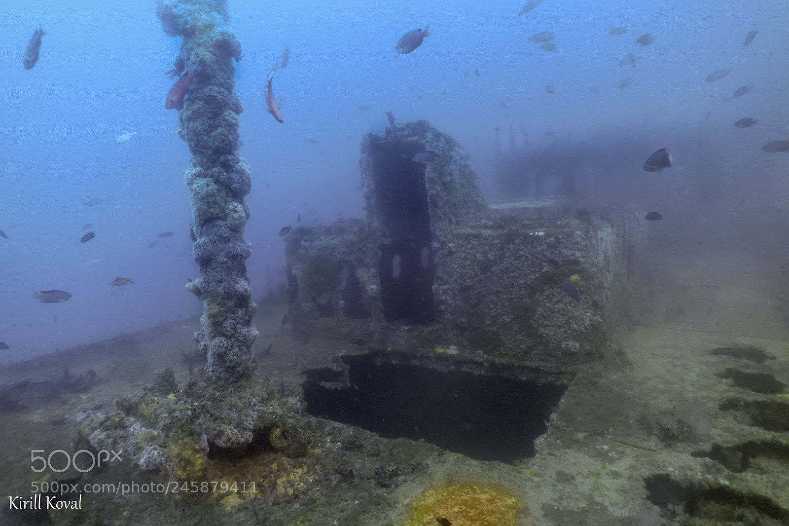 Sony Cyber-shot DSC-RX100 sample photo. San diego wreck diving photography