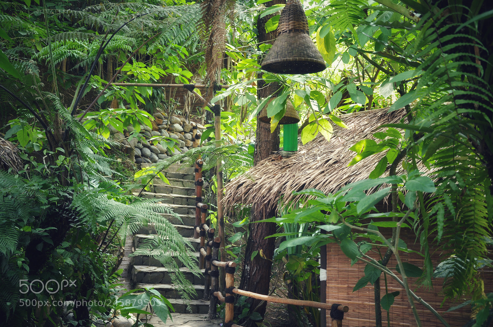 Nikon D90 sample photo. Indonesia 2011 photography