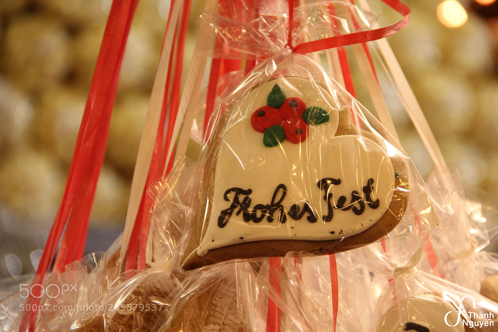 Canon EOS 550D (EOS Rebel T2i / EOS Kiss X4) sample photo. Lebkuchen ,,frohes fest" photography
