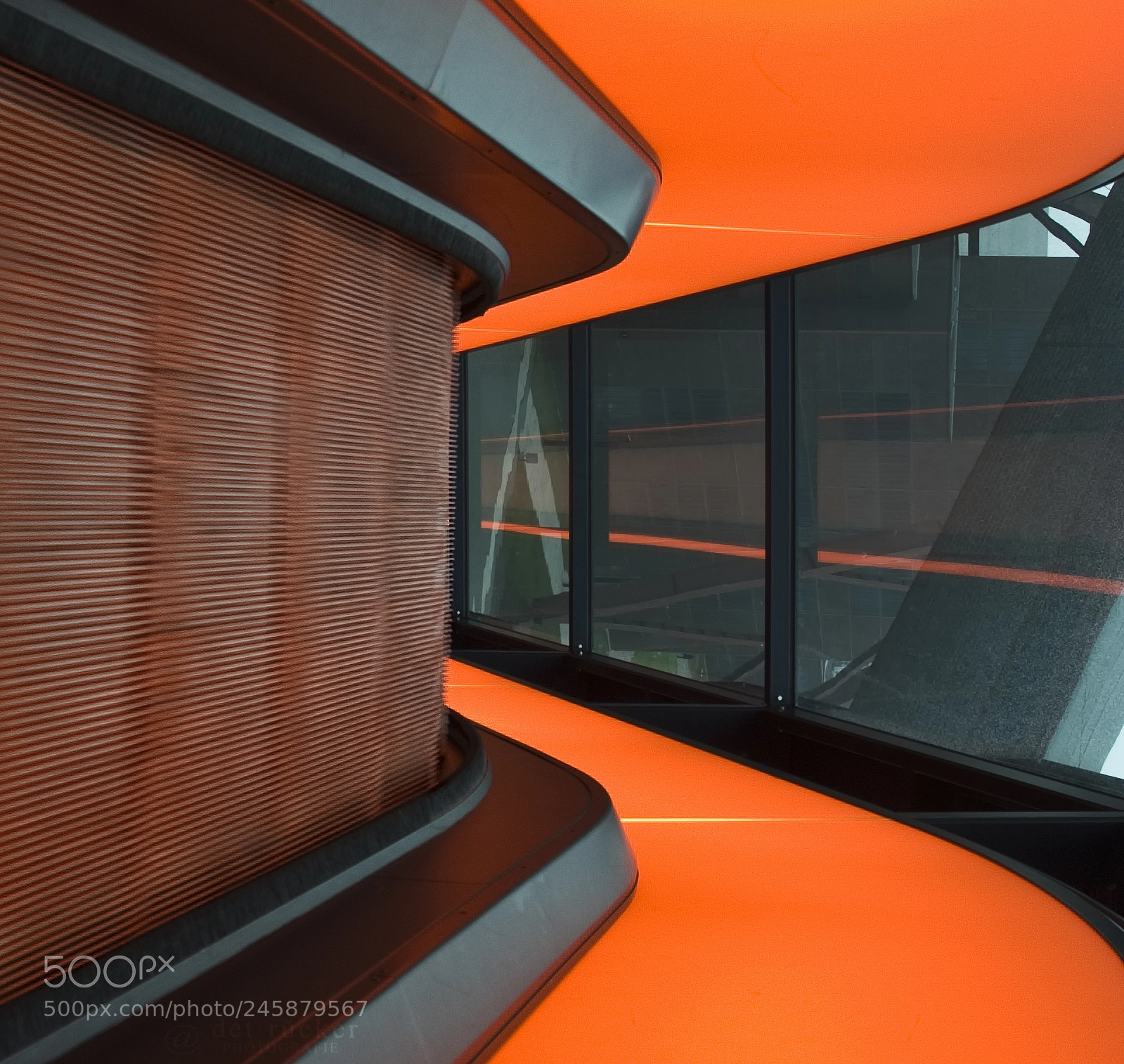 Nikon D80 sample photo. Orange photography