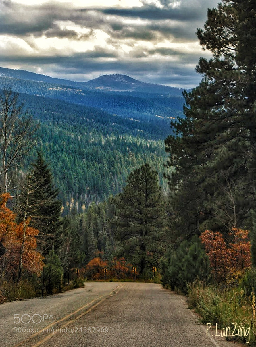 Olympus E-3 sample photo. Homeward bound... photography
