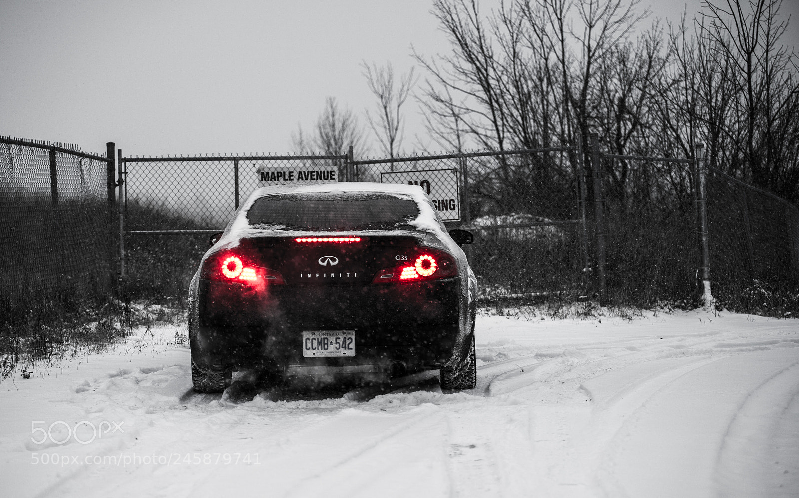 Nikon D800 sample photo. Evil photography