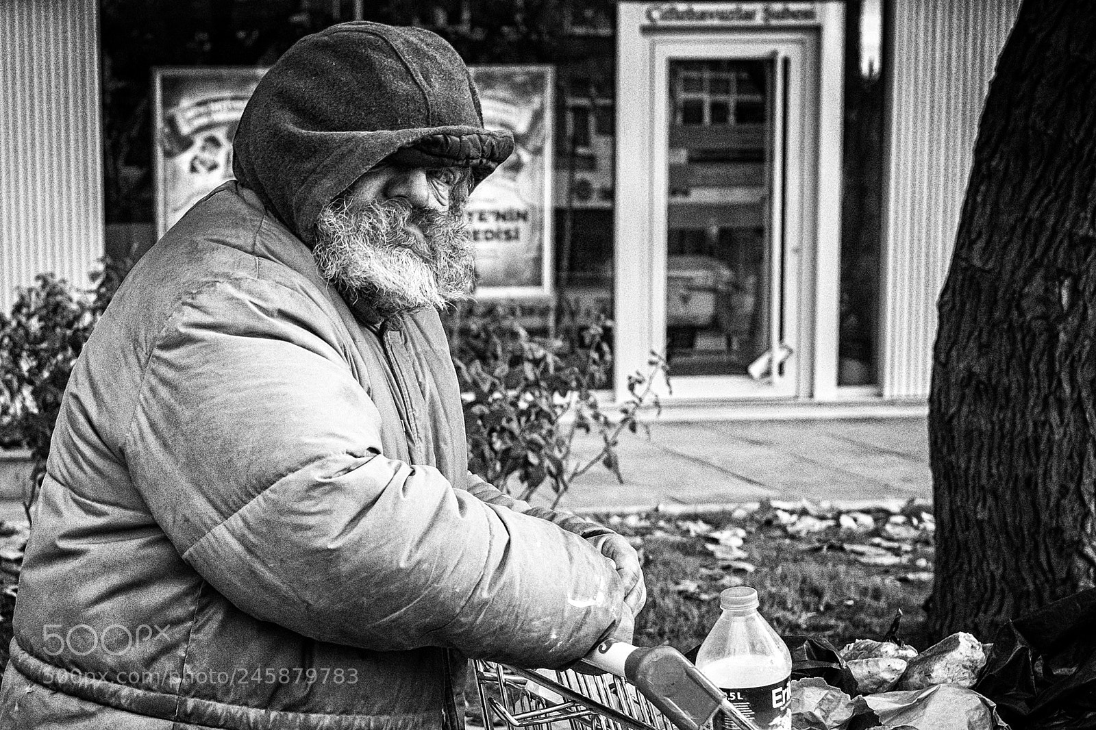Olympus OM-D E-M5 sample photo. Aqualung photography