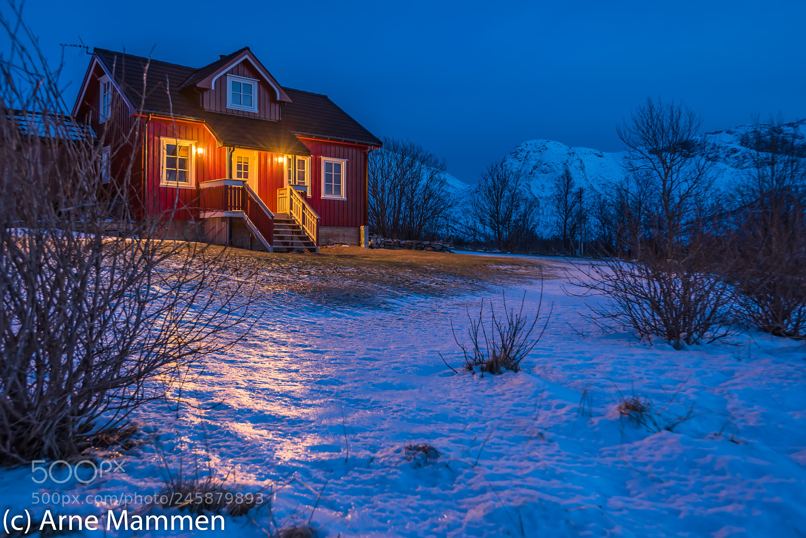 Nikon D810 sample photo. Haus leknes photography