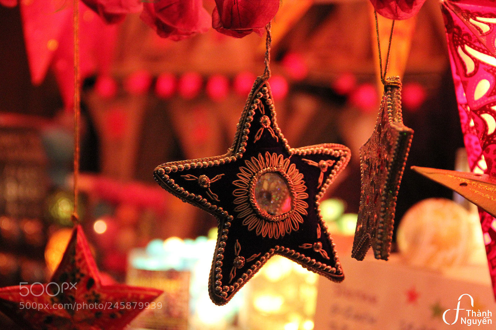 Canon EOS 550D (EOS Rebel T2i / EOS Kiss X4) sample photo. The other star photography