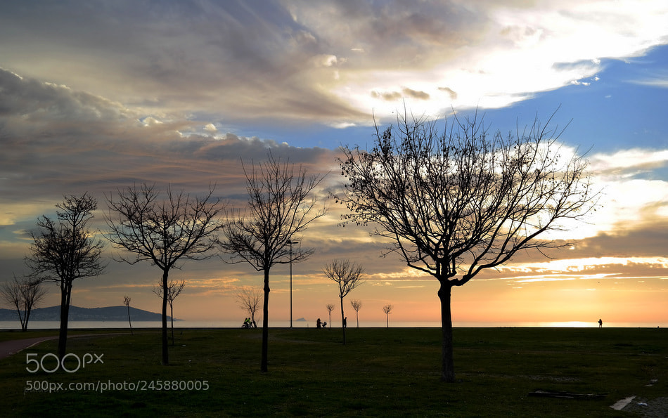 Samsung NX300 sample photo. ... photography