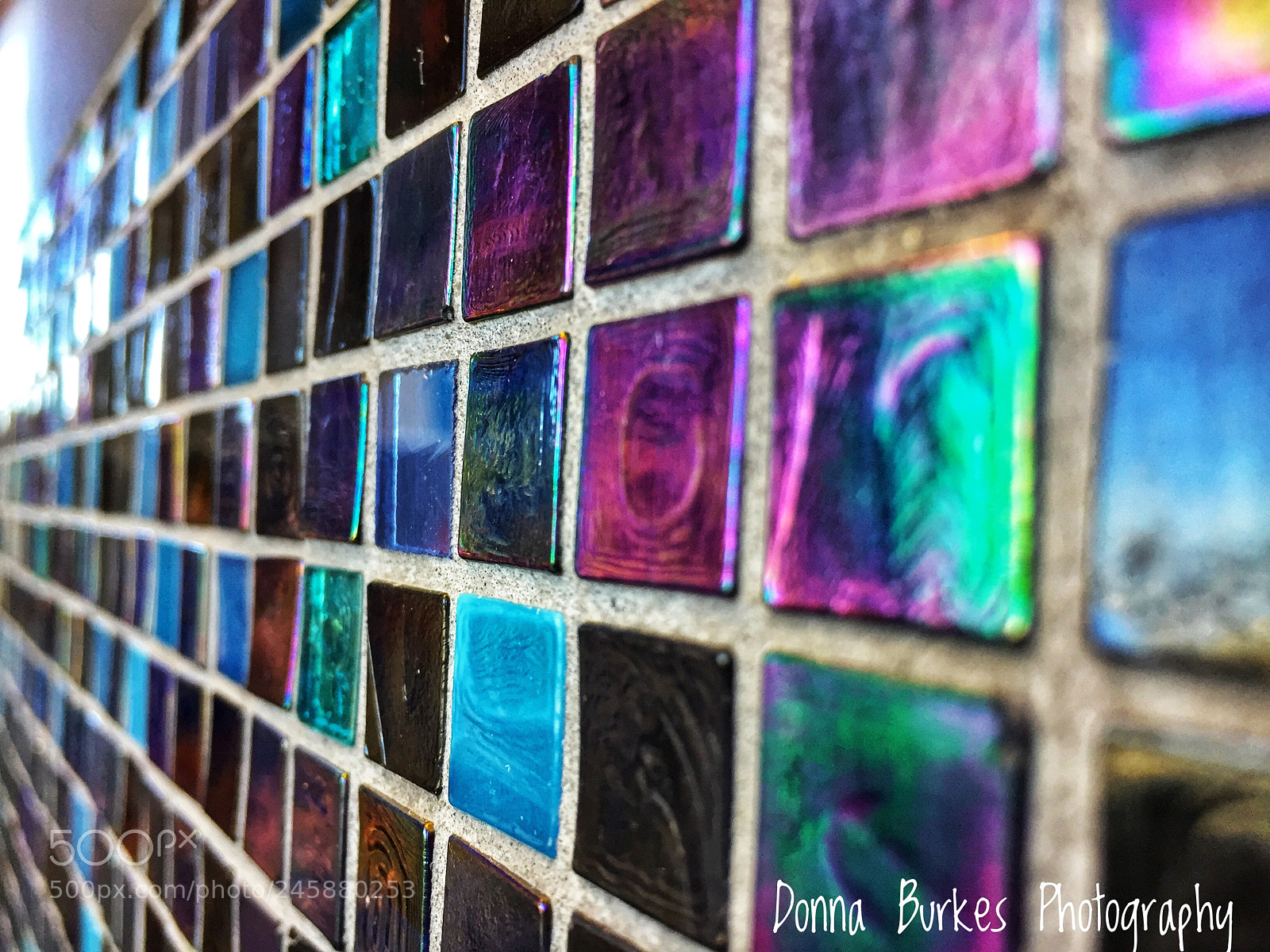 Apple iPhone 6 sample photo. Love the colors and photography
