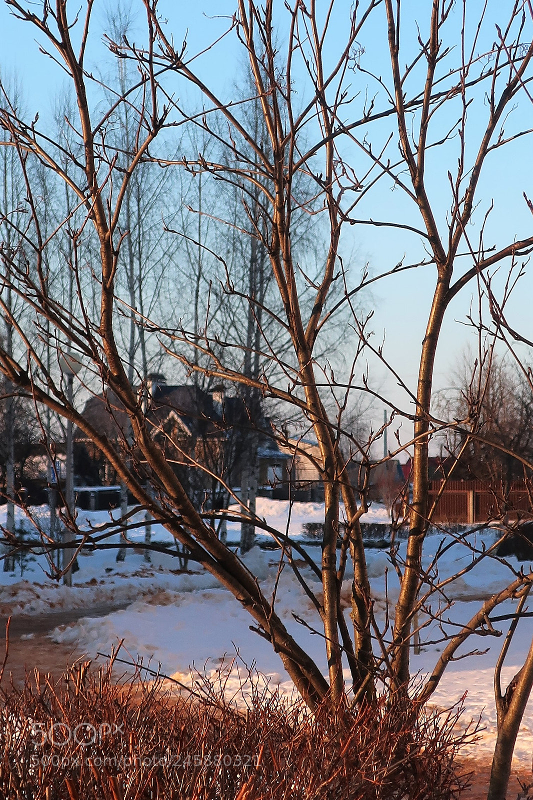 Canon PowerShot G9 X Mark II sample photo. February. the end of photography