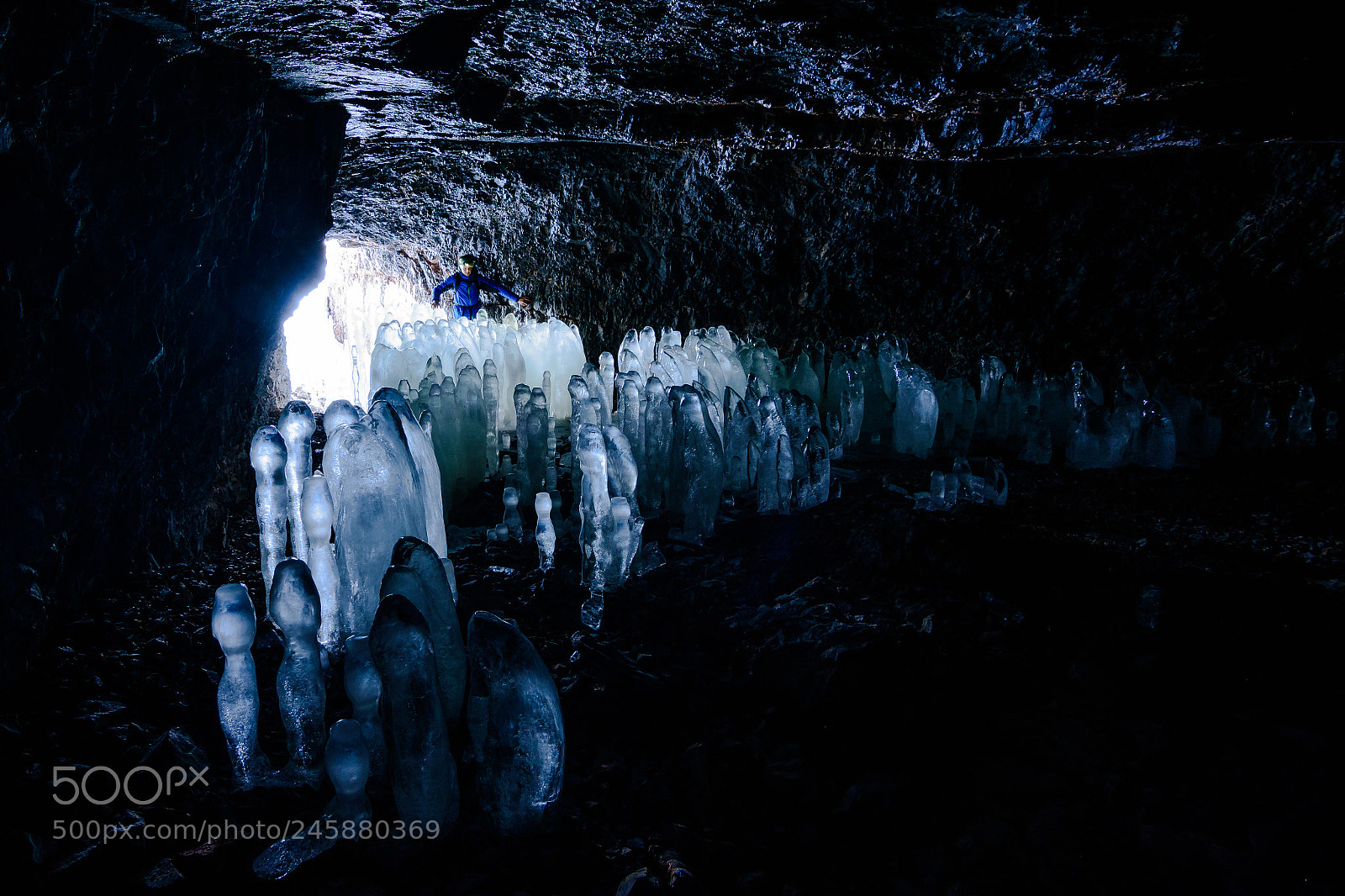 Nikon D7200 sample photo. From another world? photography