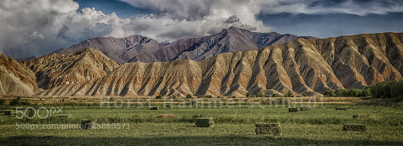 Olympus OM-D E-M1 sample photo. Kyrgyzstan photography