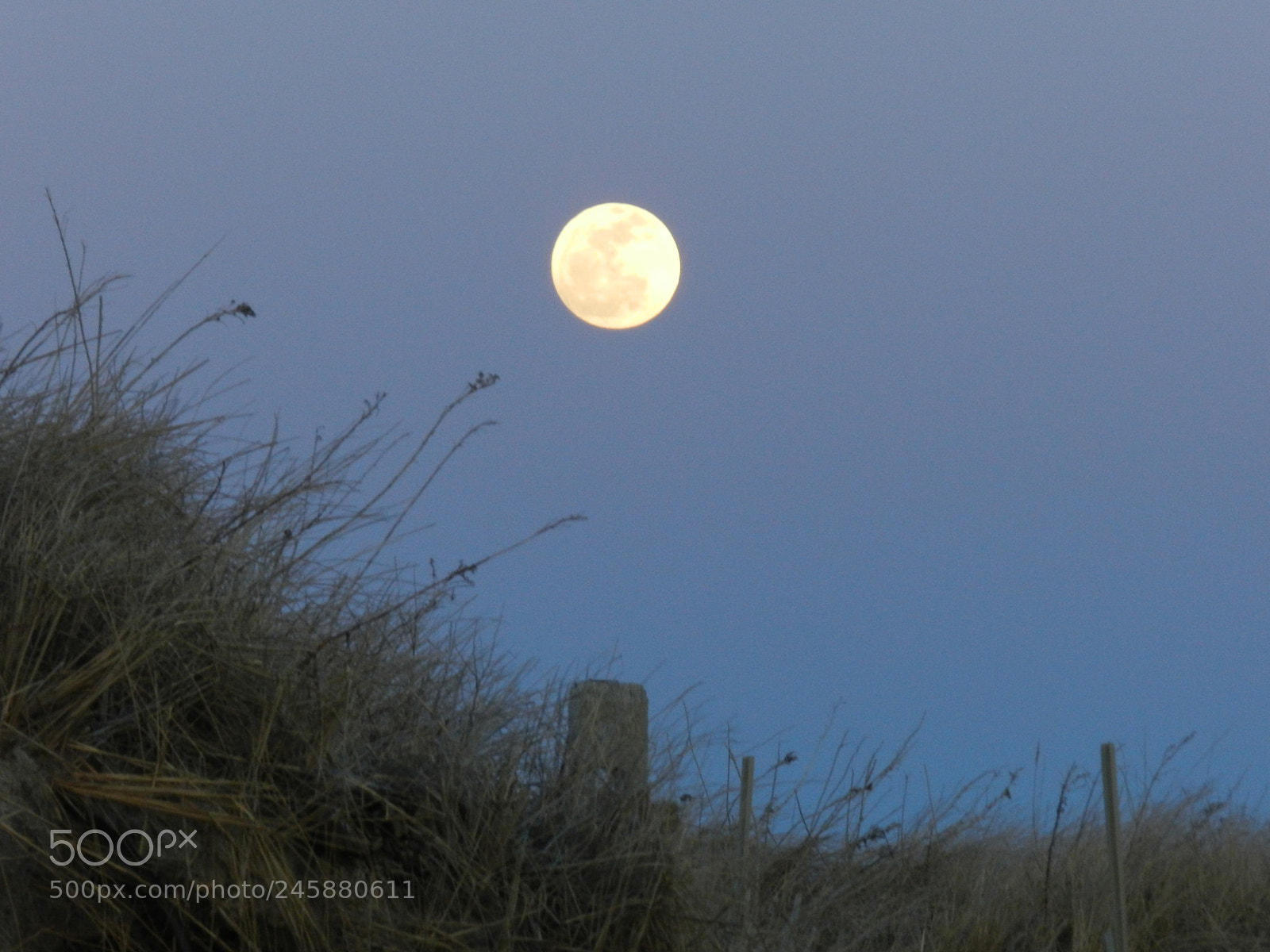 Nikon Coolpix P500 sample photo. Nantucket moon photography
