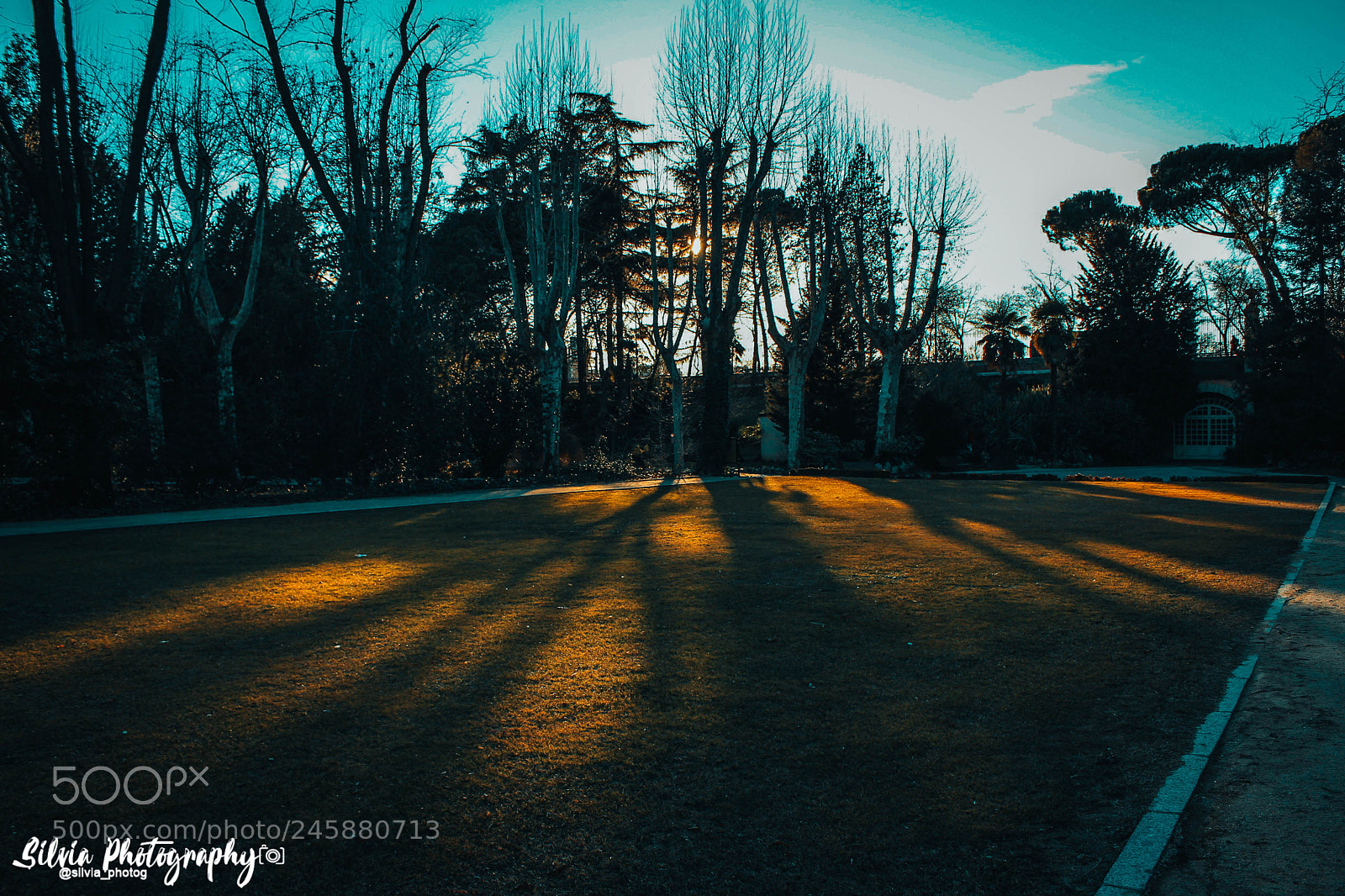 Canon EOS 700D (EOS Rebel T5i / EOS Kiss X7i) sample photo. Landscape photography