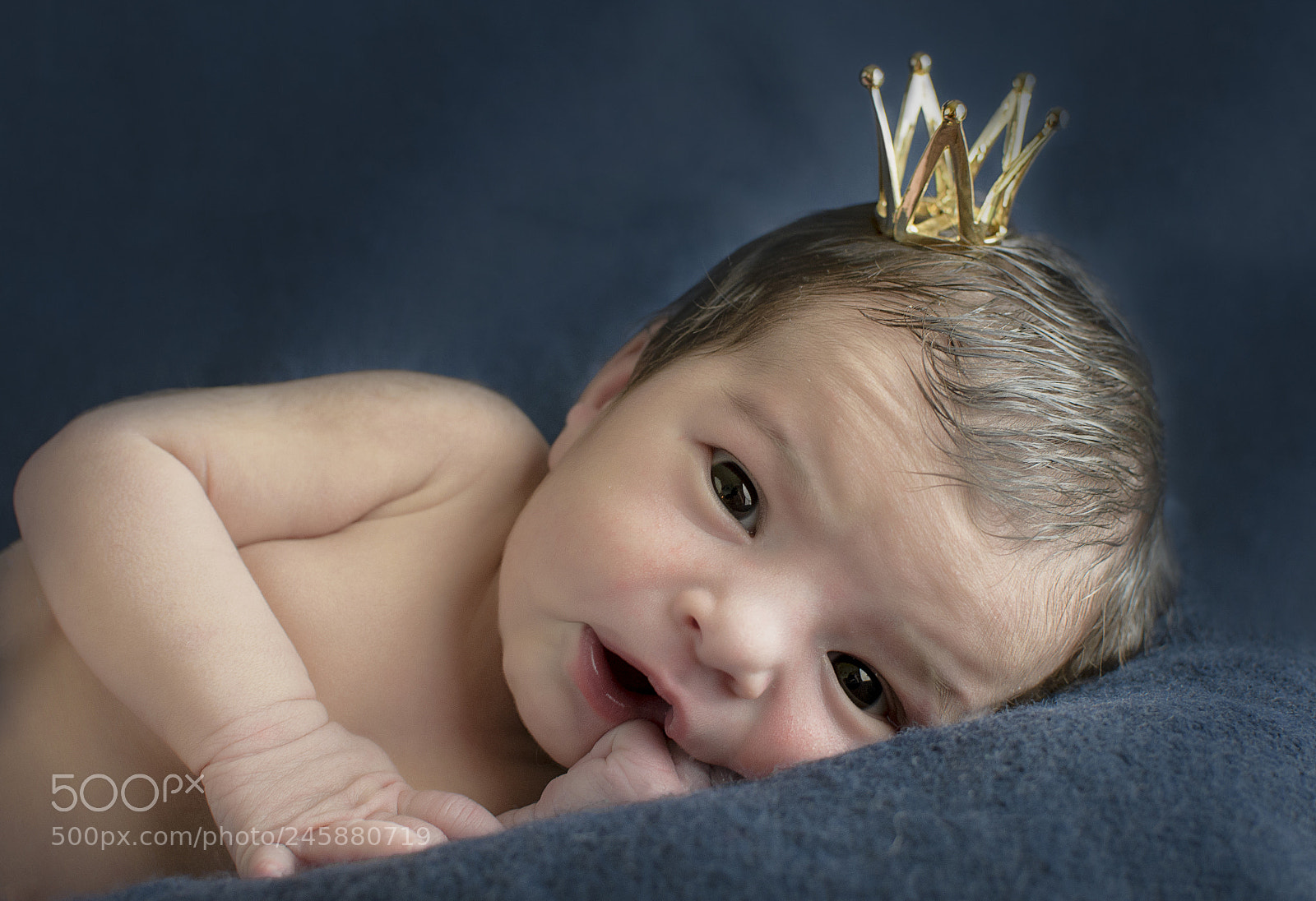 Nikon D500 sample photo. Little princess photography
