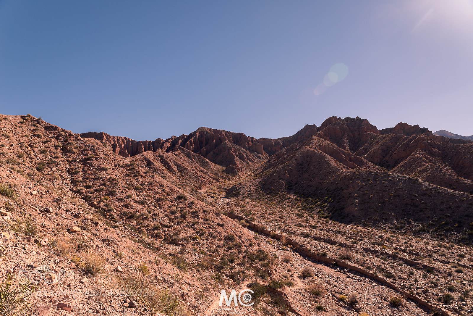 Nikon D610 sample photo. Following a path photography