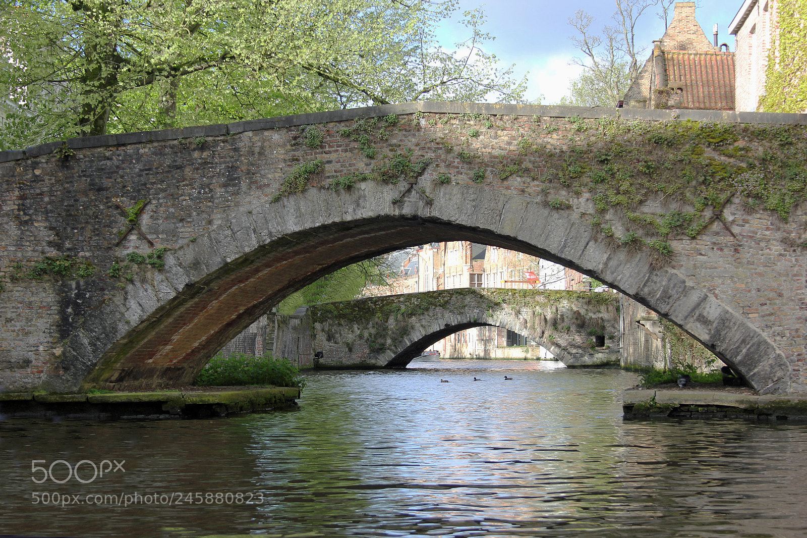 Canon EOS 550D (EOS Rebel T2i / EOS Kiss X4) sample photo. Canal bridge's photography