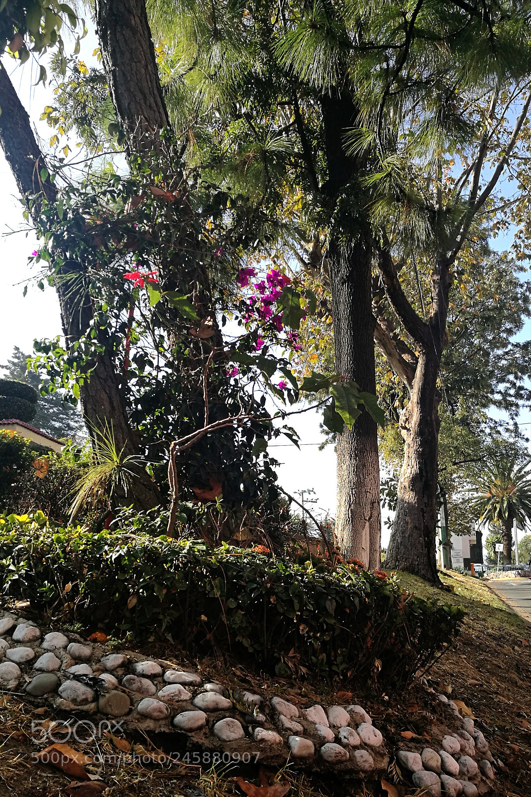 HUAWEI P9 sample photo. The sun approaches photography