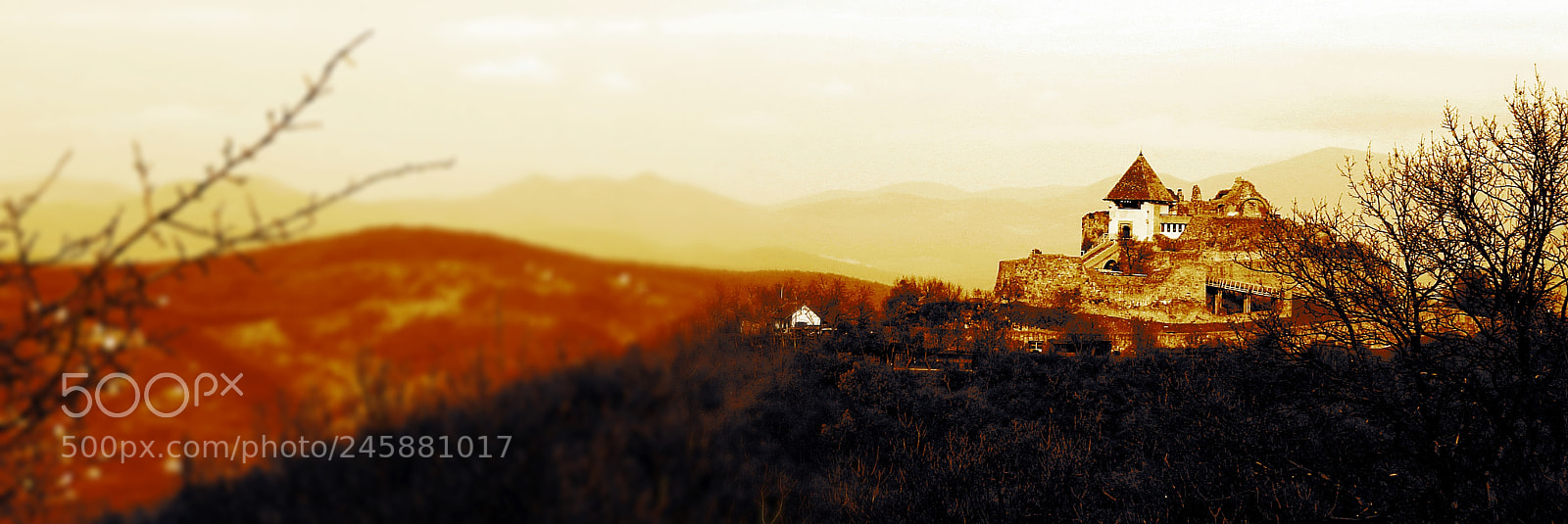 Canon PowerShot SX50 HS sample photo. Golden morning photography