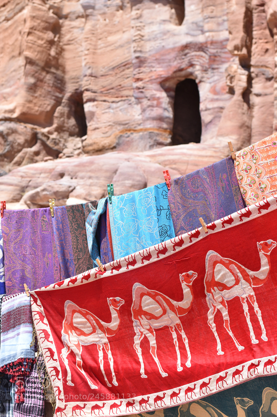 Nikon D5500 sample photo. Camel tapestries at petra photography