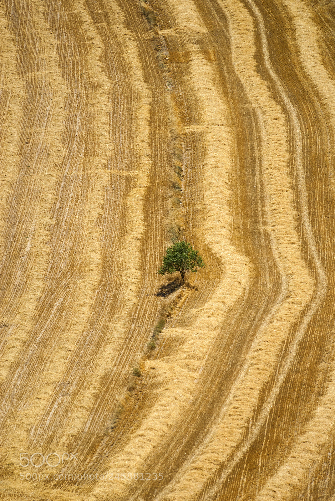 Nikon D200 sample photo. Country landscape from cervera photography