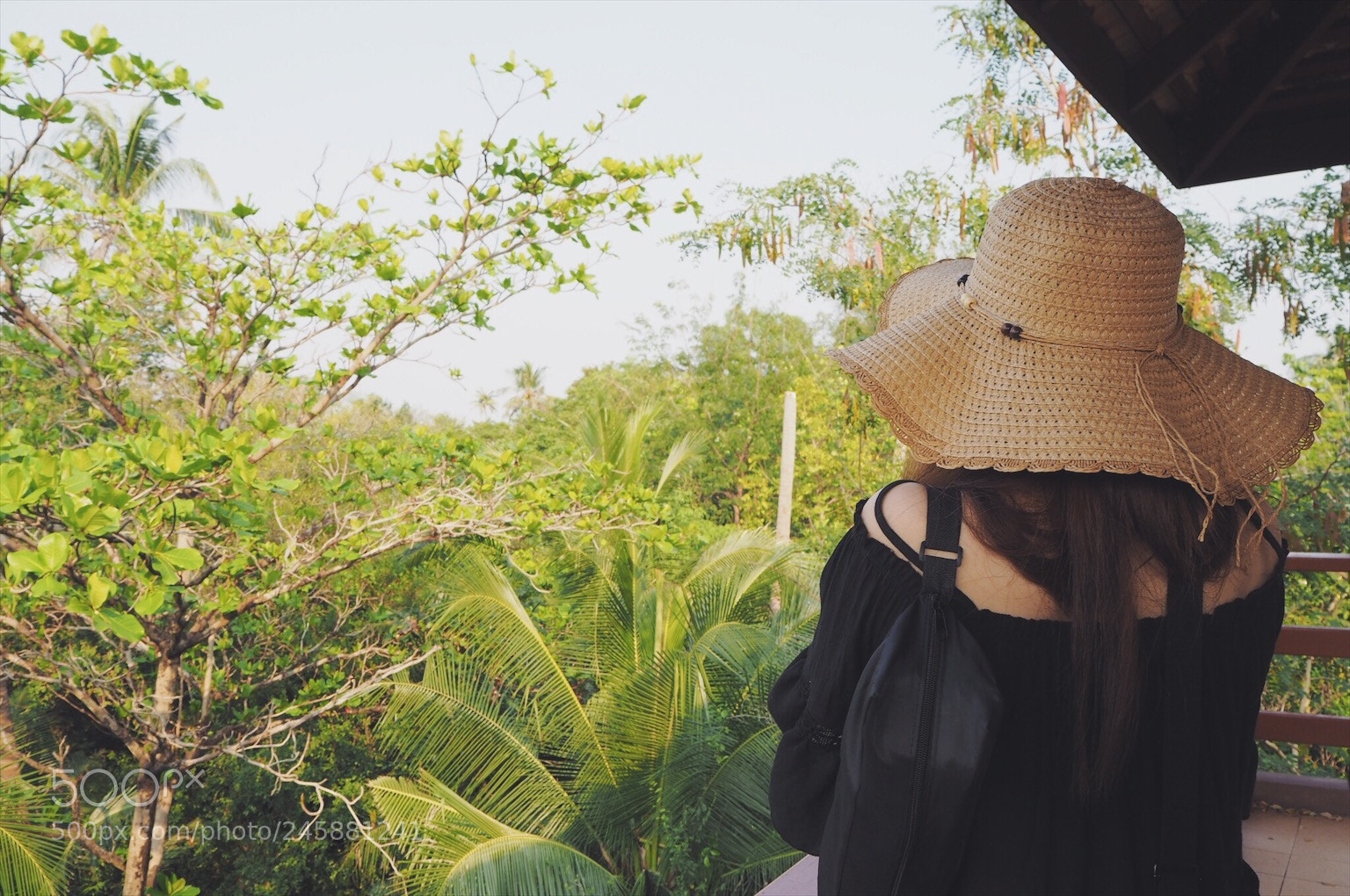 Olympus OM-D E-M10 II sample photo. ? photography
